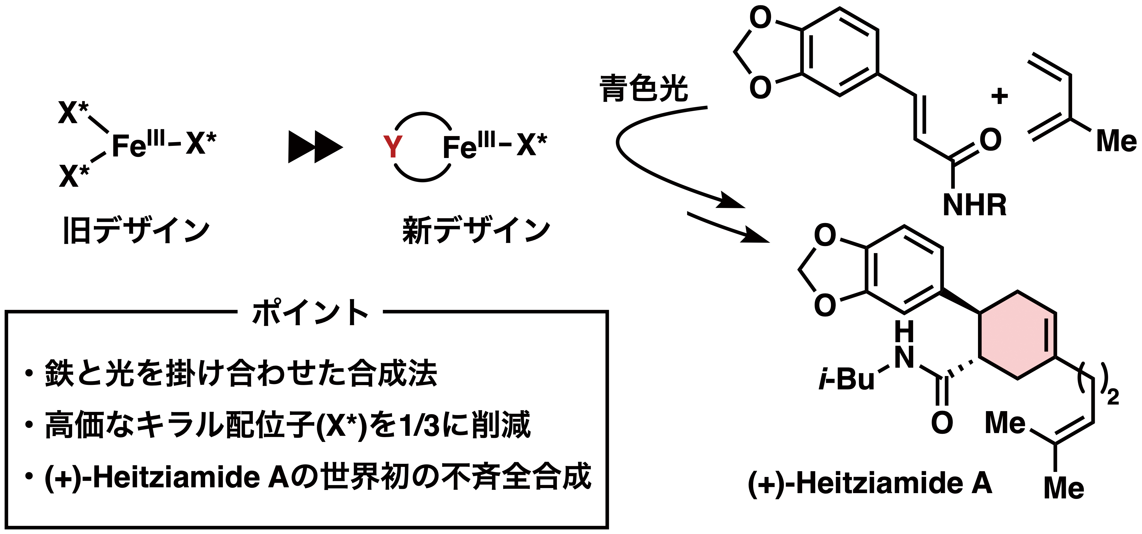 キラル鉄（III）光触媒のデザインと応用​