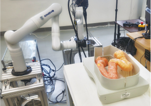 ゲル大腸モデルを用いた内視鏡ロボット操作インタフェースの評価実験​