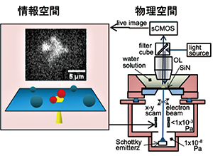 ナノ複合現実ディスプレイで分子を操る​