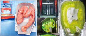 3Dプリンタで造形した人体物性を模擬した医療教育・訓練用ゲル臓器モデル​