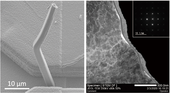 金属マイクロ構造体とナノ結晶欠陥の電子顕微鏡像