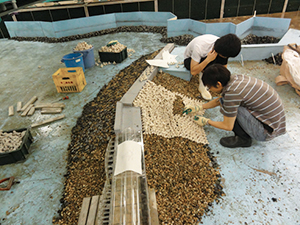 水理模型実験の準備​